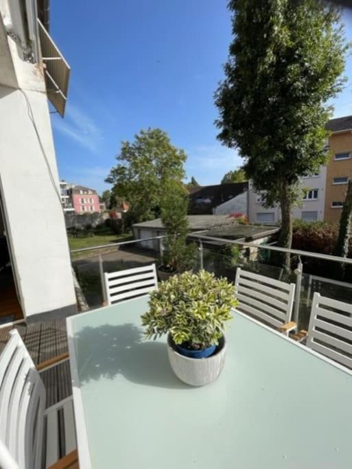 Le 40 Apartment
